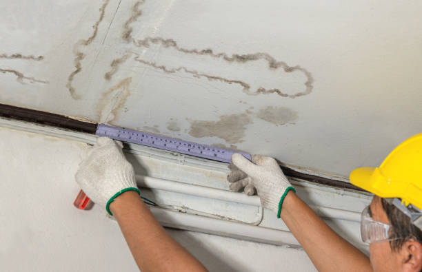 Reliable Emergency Water Damage Restoration contractor in Saint Leo, FL by Water Damage Irwin